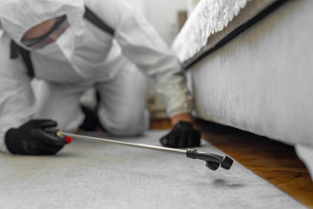Professional Bed Bug Control technician working in Bowie, TX