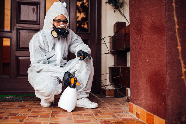 Reliable Bed Bug Control contractor in Bowie, TX by Nex Pest Control